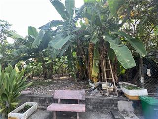 Đất full thổ cư  hẻm xe hơi  thạnh lộc 31, q12  232m2  11,5 tỷ