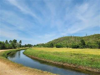 Đất cây lâu năm giá rẻ chuyển nhượng chính chủ. 2 mặt tiền đường dt6 và đường bờ kè sông tân lâm