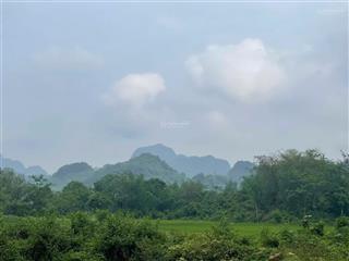 Cần tiền gấp chủ nhà bán nhanh 2000m nghỉ dưỡng cực thoáng đẹp giá rẻ chỉ vài trăm tân lạc hòa bình