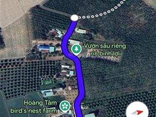 Bán đất vườn 1000m2 có 50 m2 thổ cư tại hảo đước, châu thành, tây ninh, 379 triệu