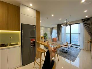Tôi cần bán gấp căn 2pn 61m2 4.2 tỷ full đồ vinhomes smart city tây mỗ