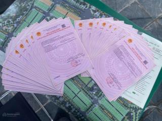 Tặng 1 cây vàng cho 15 khách hàng đầu tiên