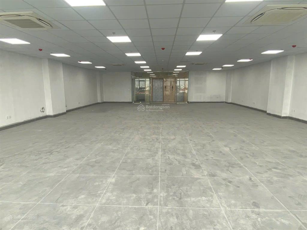 Cho thuê sàn văn phòng tại roman plaza dt từ 84m2  148m2  265m2 giá chỉ từ 200k/m2