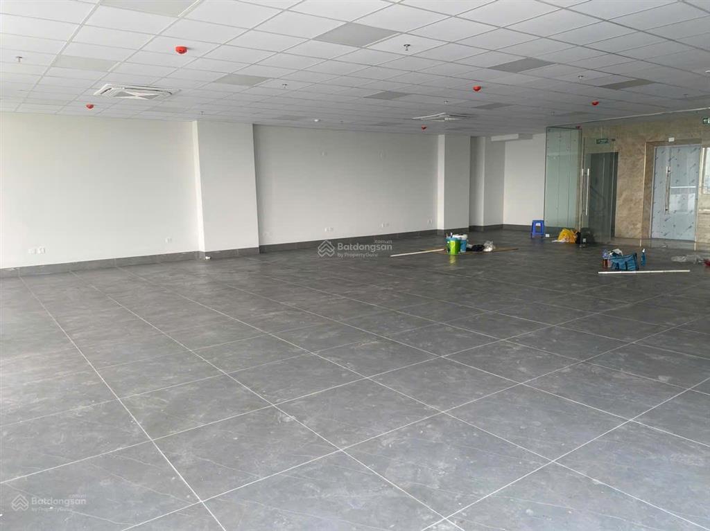 Cho thuê sàn văn phòng tại roman plaza dt từ 84m2  148m2  265m2 giá chỉ từ 200k/m2