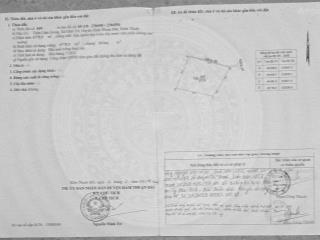 Cần tiền cần bán đất trồng thanh long 17.150m2, xã hàm trí, hàm thuận bắc, bình thuận