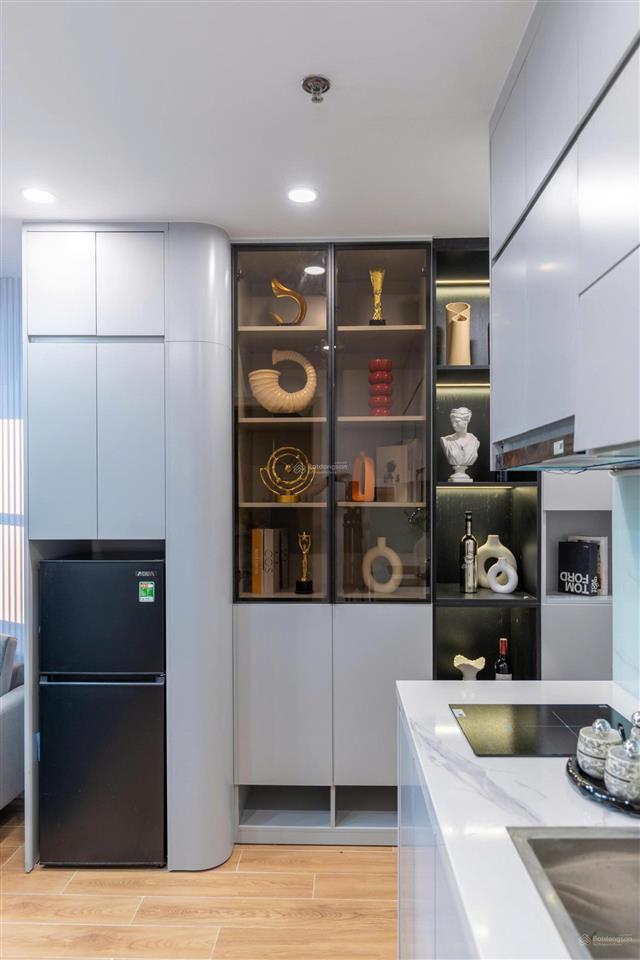 Cho thuê cc mini 1pn, 40m2, 11 triệu tại đường bưởi, vĩnh phúc, ba đình, hà nội