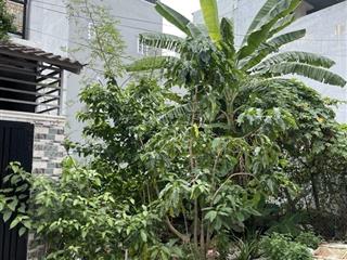 Nhanh tay sở hữu cho mình lô đất 80m2, hit 4,5 tỷ tại lê văn lương, xã phước kiển, nhà bè, tp.hcm