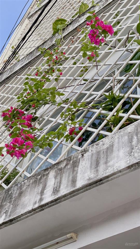 Cho thuê nhà hẻm xe hơi, 2 mặt tiền thông thoáng, lê đình quản, q2