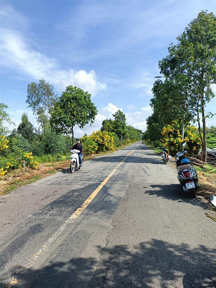 Cần bán một lô đất 1000m2 tại xã bình tân, thị xã kiến tường, tỉnh long an. đường tỉnh lộ 831 .