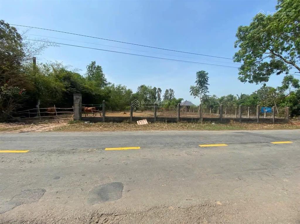 Cần bán một lô đất 1000m2 tại xã bình tân, thị xã kiến tường, tỉnh long an. đường tỉnh lộ 831 .