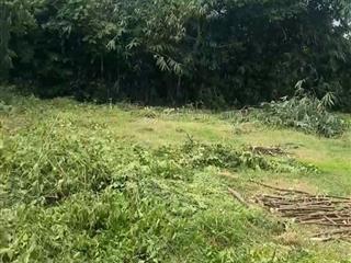 Cần bán lô đất vuờn 2 mặt tiền vị trí đẹp ở hành đức nghĩa hành quảng ngãi.