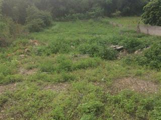 Vỡ nợ cần bán gấp lô đất giảm 2 tỷ diện tích 2300m2, lô đất đẹp đường 20m phường đông sơn, bỉm sơn