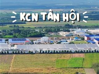 Đất nhà vườn tân hội, tân châu