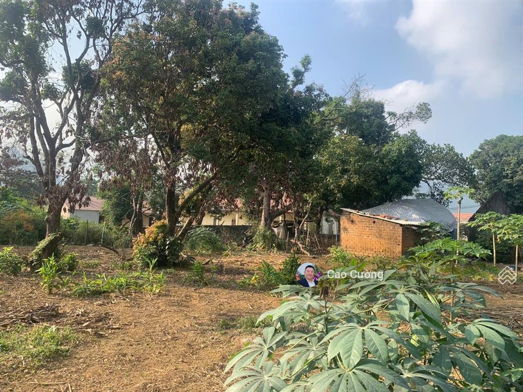 Chủ f0 bán gấp lô đất 2 mặt tiền bám đường lớn  thổ cư mà chỉ hơn 2 triệu/m tại lương sơn