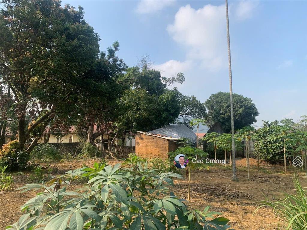 Chủ f0 bán gấp lô đất 2 mặt tiền bám đường lớn  thổ cư mà chỉ hơn 2 triệu/m tại lương sơn