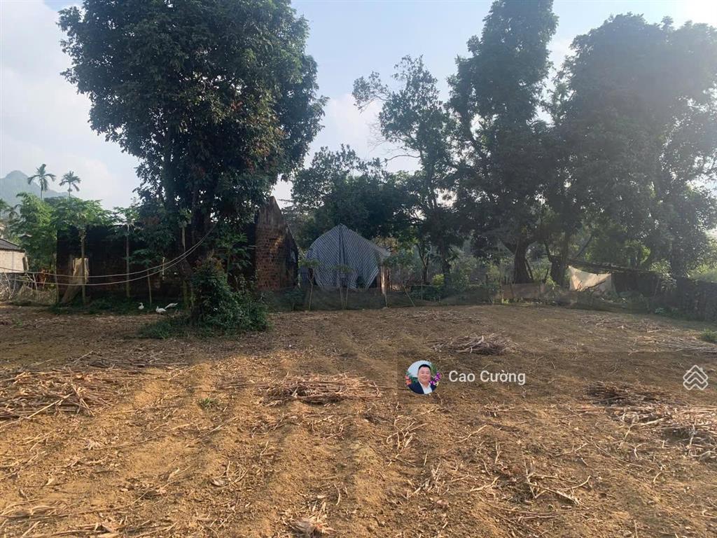 Chủ f0 bán gấp lô đất 2 mặt tiền bám đường lớn  thổ cư mà chỉ hơn 2 triệu/m tại lương sơn