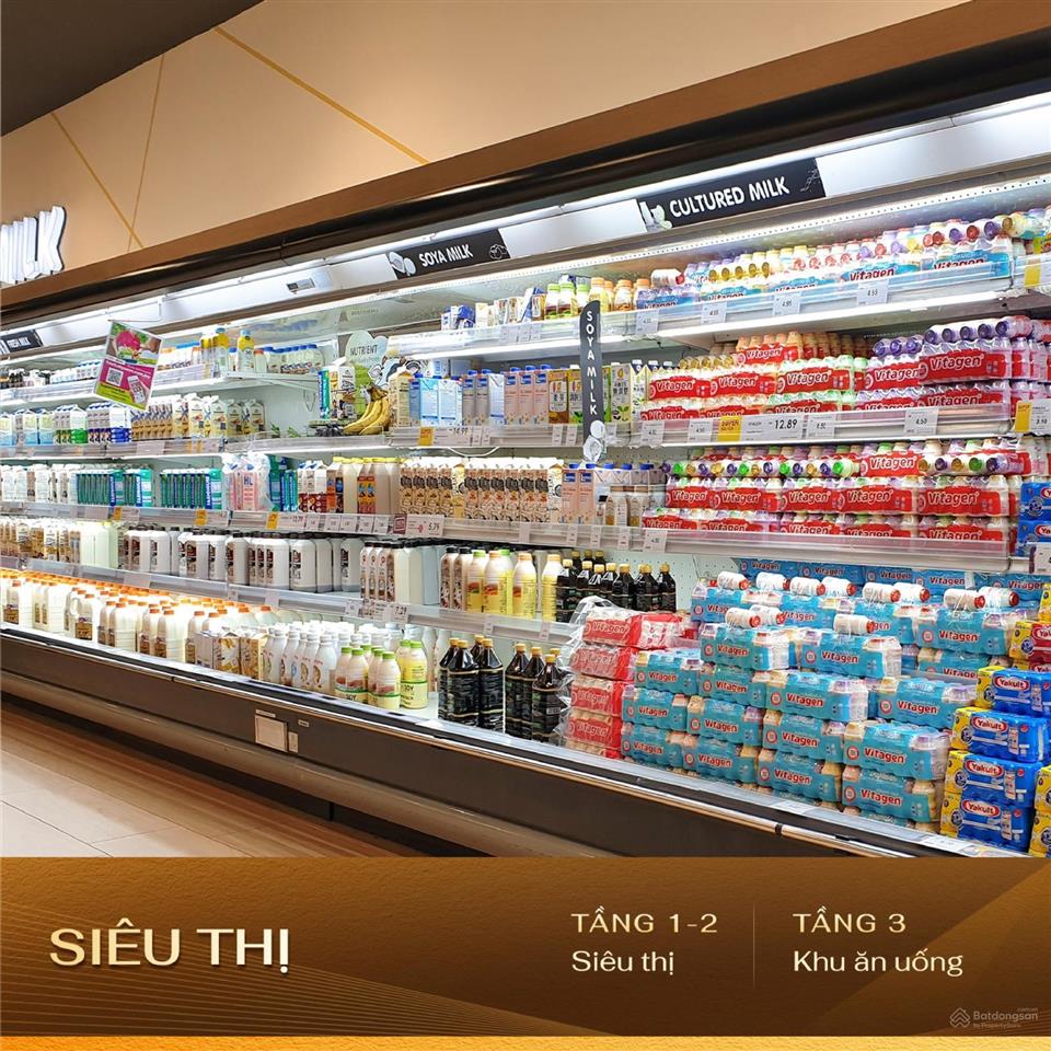 Bán gấp q6.c.15 vlasta 98m2 đối diện trường học, 2 mặt tiền mở cửa, kinh doanh vô địch