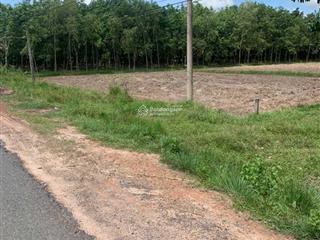 Bán đất thổ cư + cln, 10897.3m2 trong đó 500m2 thổ cư còn lại cln tại bến cầu  tây ninh