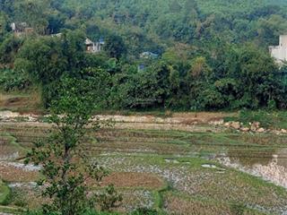 Gấp gấp chỉ 1,x tỷ sở hữu ngay 2000m tc bám bê tông 60m gần sungroup kim bôi hòa bình