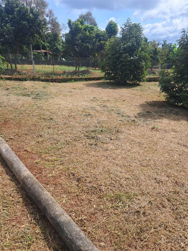 Bán đất vườn sầu riêng gần sân bay long thành cực đẹp tiện làm nhà nghỉ dưỡng.