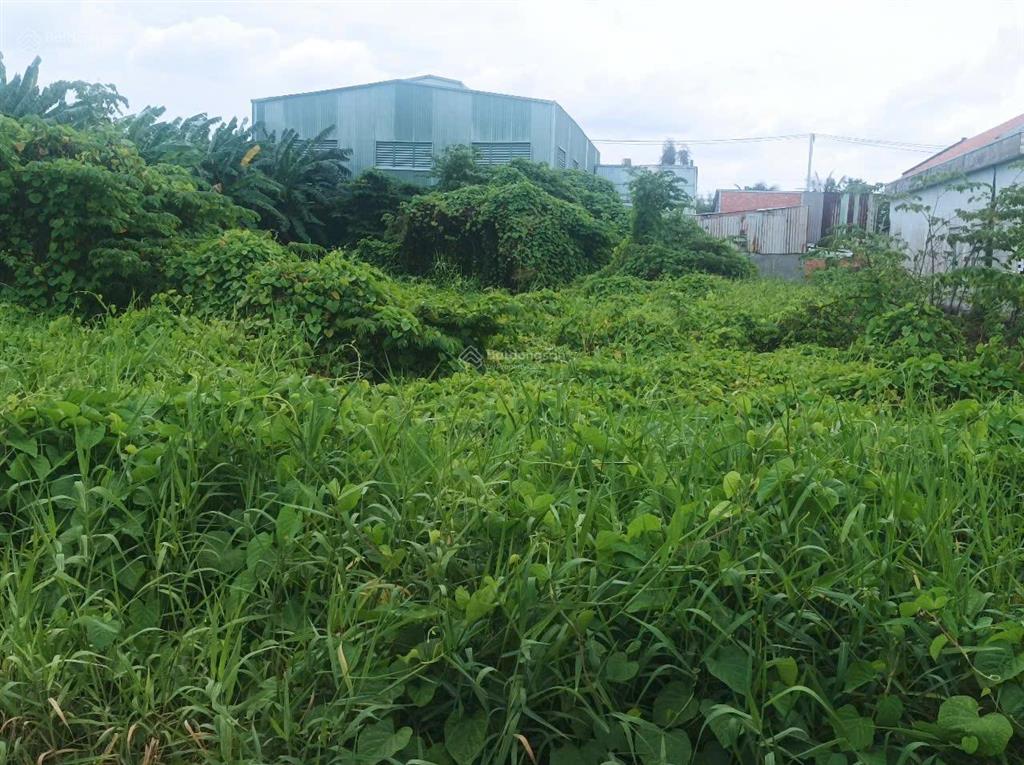 Hàng ngộp giá thơm 1283m2 tho cư đường xe tải giá 8.5 tỷ