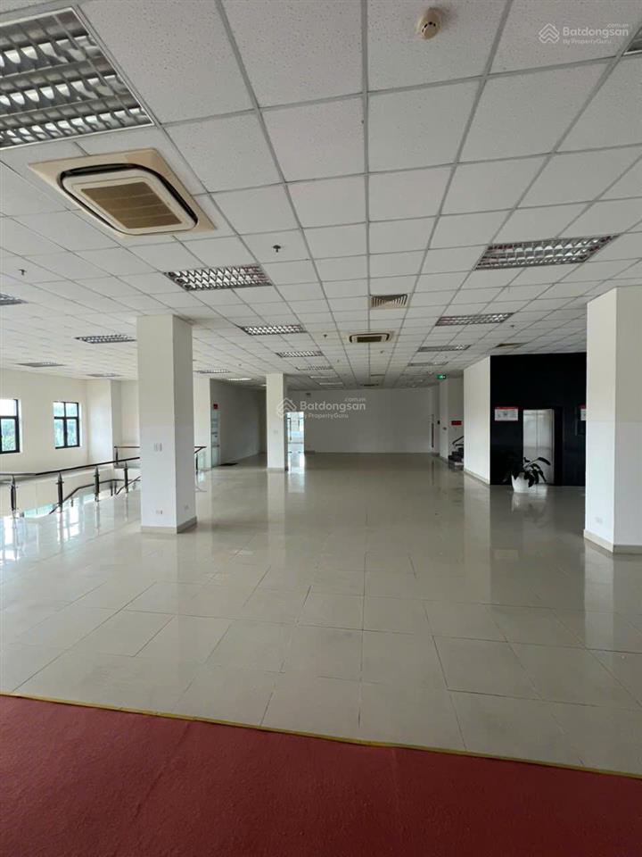 Cho thuê văn phòng tại tòa nhà viettel ninh thuận  bình thuận  đắc nông giá chỉ từ 100.000đ/m