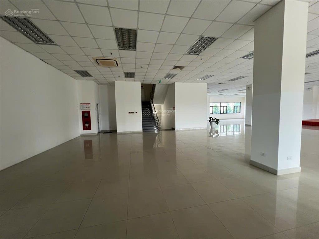 Cho thuê văn phòng tại tòa nhà viettel ninh thuận  bình thuận  đắc nông giá chỉ từ 100.000đ/m