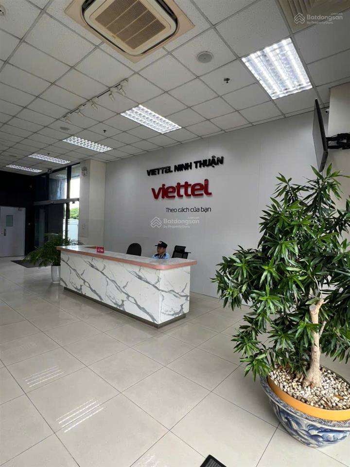 Cho thuê văn phòng tại tòa nhà viettel ninh thuận  bình thuận  đắc nông giá chỉ từ 100.000đ/m