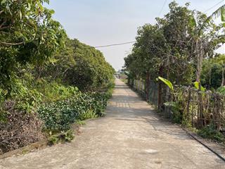 Chính chủ bán đất nghỉ dưỡng, đầu tư, trang trại, miệt vườn