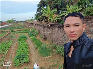 Chủ gửi em tình bán gấp mảnh đất trục chính đan tảo ,tân minh, sóc sơn, hà nội