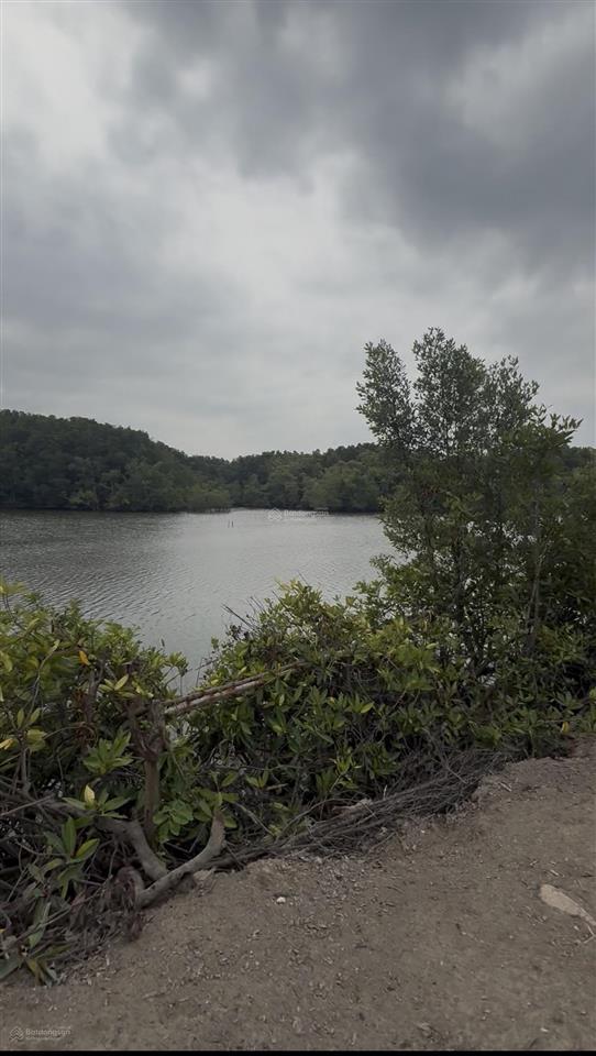 [bđs bờ sông phước an  nhơn trạch]  chỉ 670k/m2