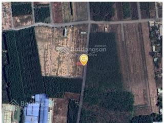 Chính chủ cần bán đất xã an viễn đồng nai 4tỷ5