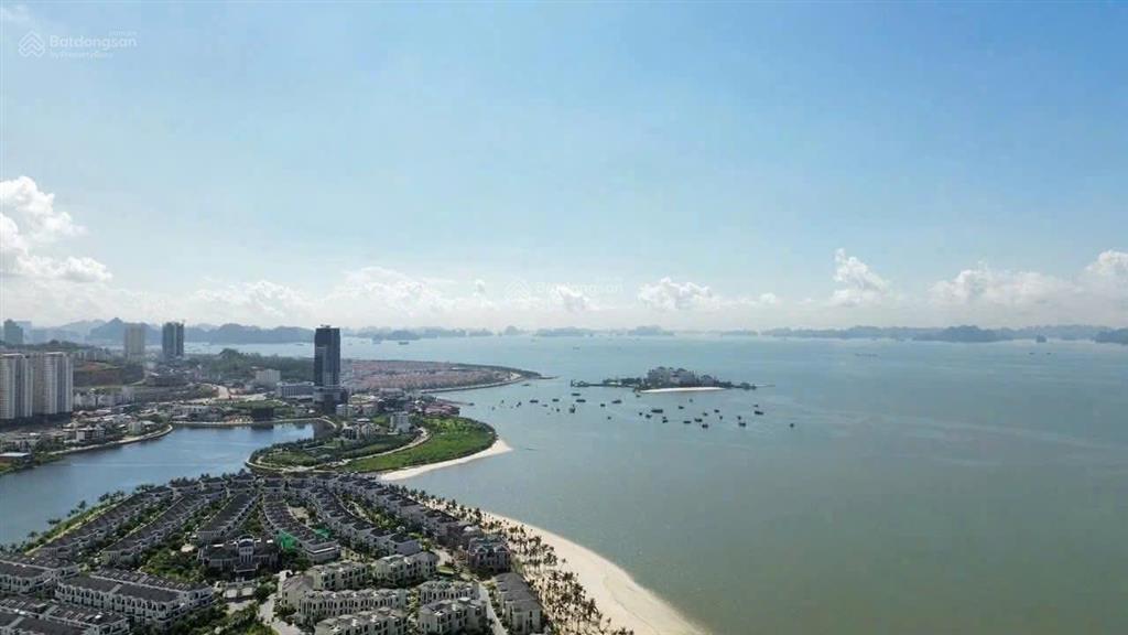 Căn hộ 1 pn aria bay  hướng đông nam view vịnh, pháo hoa, giá hời full chính sách + quà tặng