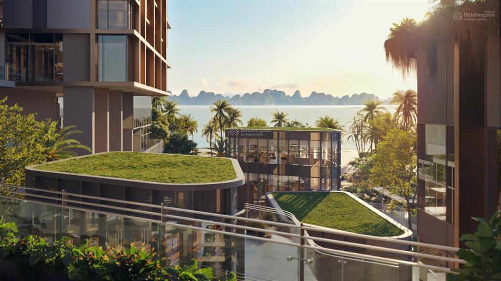 Căn hộ 1 pn aria bay  hướng đông nam view vịnh, pháo hoa, giá hời full chính sách + quà tặng