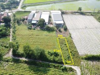 240m2 có thổ. đường bê tông thông. dân đông. 330tr