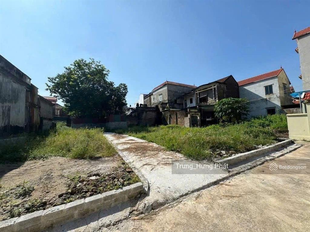 Bán đất triều đông, tân minh, thường tín cũ, sát svđ trống đồng dựa án kđt thể thao olympic