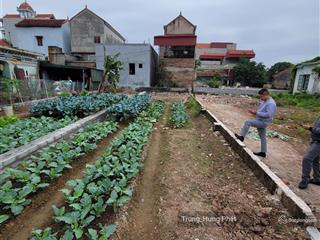 Bán 91m2 đất phân lô giá f0, thư phú, thường tín, trung tâm khu c kđt thể thao olympic, gần vđ4.