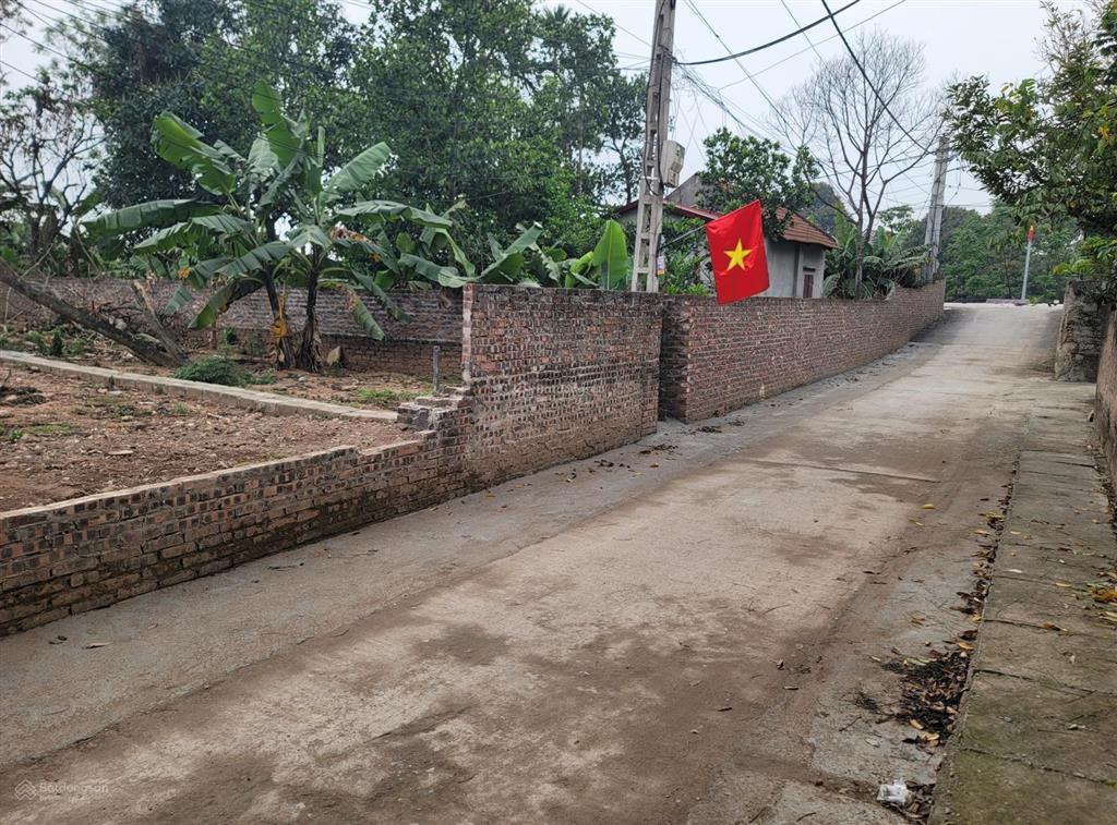 Bán đất xã tự nhiên, thường tín, 97m2, ngõ ô tô tránh, 30m ra trục chính xe buýt, gần vành đai 4