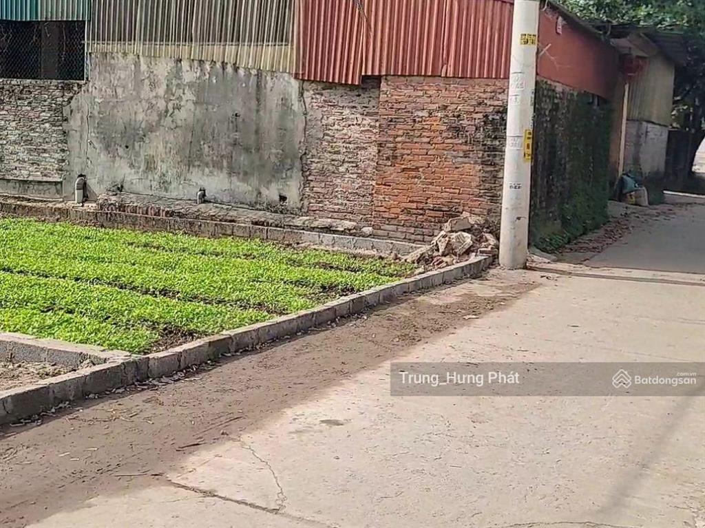 Bán đất thổ cư xã tự nhiên, thường tín, gần vành đai 4, dự án đại lộ cảnh quan, khu c kđt olympic