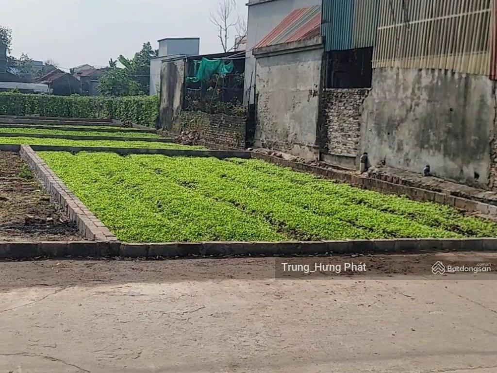 Bán đất thổ cư xã tự nhiên, thường tín, gần vành đai 4, dự án đại lộ cảnh quan, khu c kđt olympic