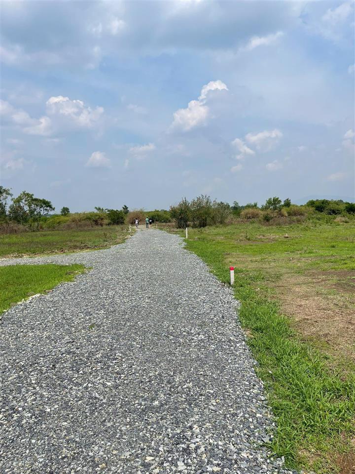 Bán đất 2 sào 533 mặt tiền đẹp có suối bao quanh, gần chợ & ubnd làm nhà vườn quá lý tưởng