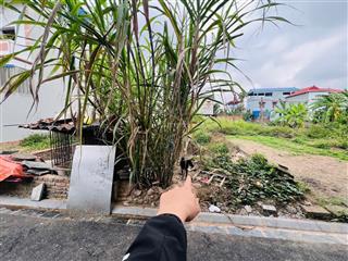 Bán lô đất đẹp nhỏ xinh tại đình trung xuân nộn đông anh 40,4m2, shcc. oto thông. sát kcn đa