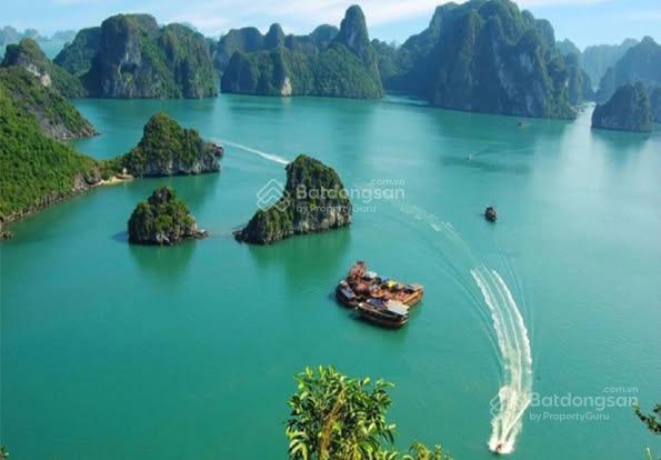 Căn hộ cao cấp vân đồn view mặt vịnh mở bán căn ngoại giao