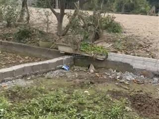 Xâm thụy hồng vân thường tín lô góc dt41 mt5.05 giá 3.1tỷ. ô tô 7 chỗ vào đất ngõ thông sát cầu mễ