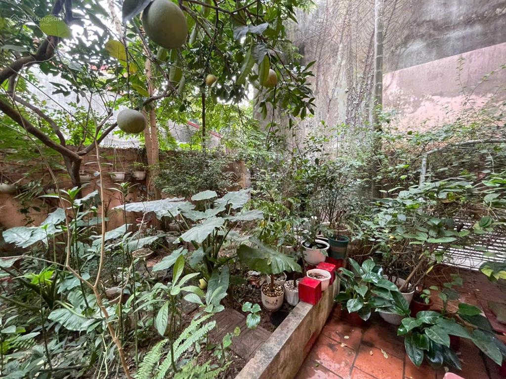 Chính chủ cho thuê nhà vườn 150m  không gian xanh hiếm có  long biên  ở lâu dài