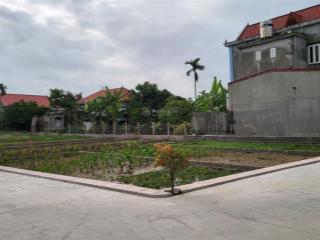 Bán đất đẹp tại bát trang, an lão, hải phòng, 550 triệu, 65m2