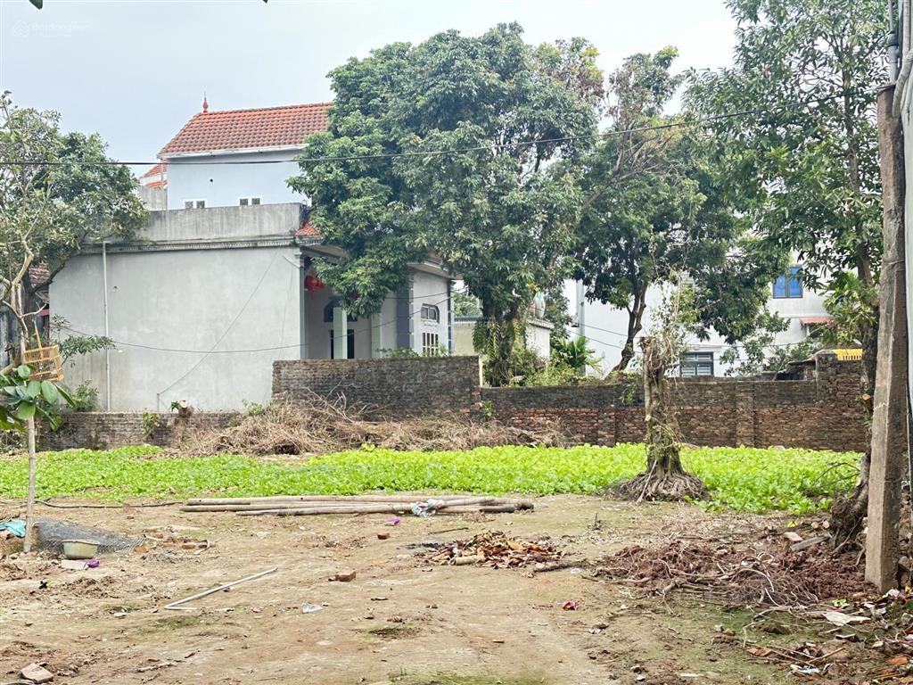 Bán đất tại xã hưng đạo, quốc oai, hà nội, 45 triệu / m2, 250 m2, view đẹp, uy tín