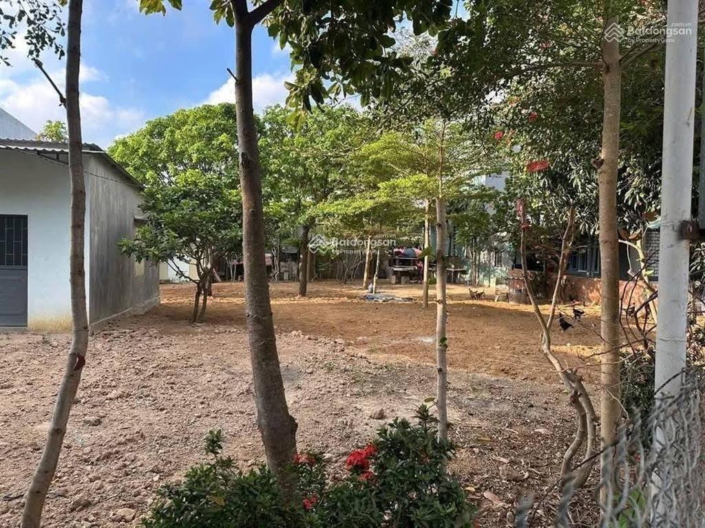 Chính chủ bán đất mặt tiền tl 639 cát tiến phù cát