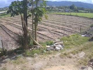 Bán 1546m2 đất có thổ cư 400m2 tại xã ka đơn, h. đơn dương, lâm đồng