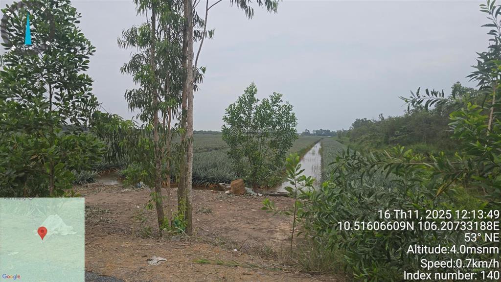 Bán đất khu tân phước hỗn hợp odt + cln, gần kcn mặt tiền nhựa